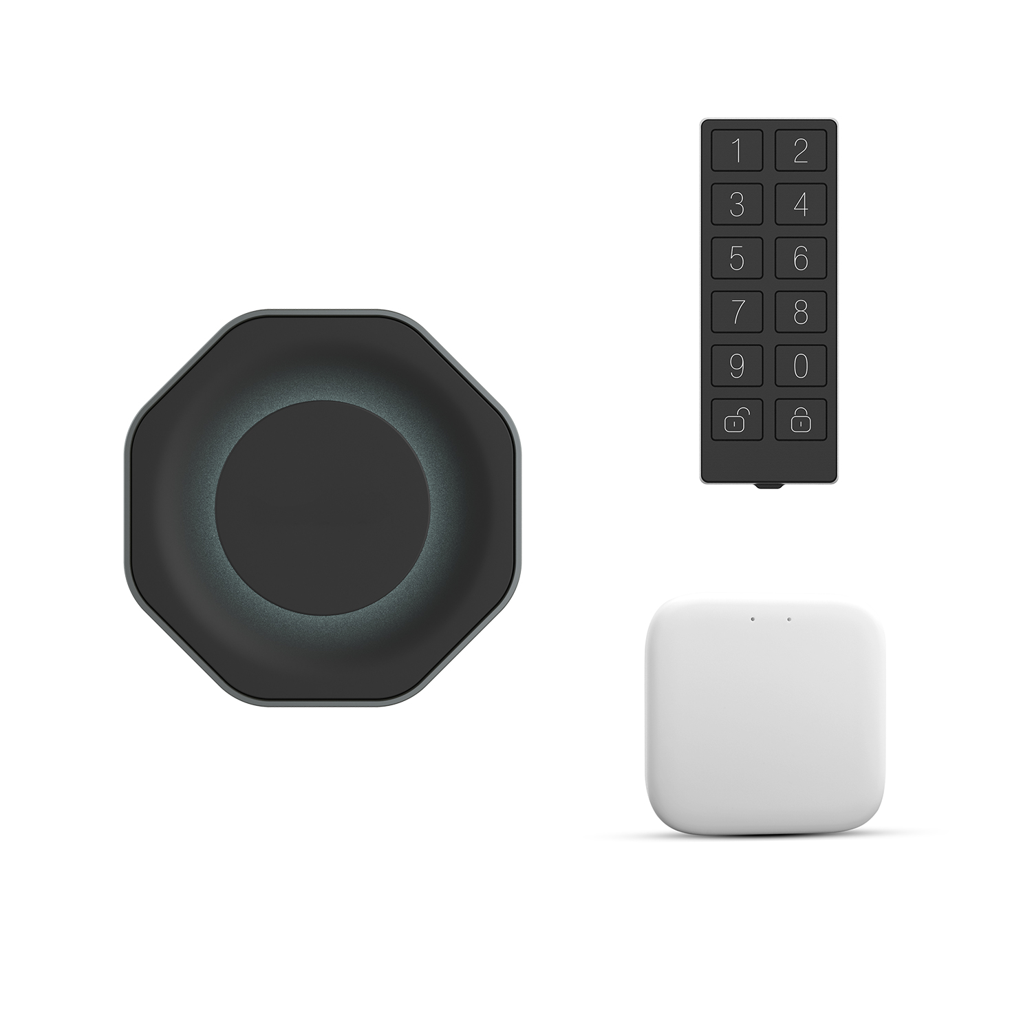 AEGIS SMART LOCK FSL-IOT-L006