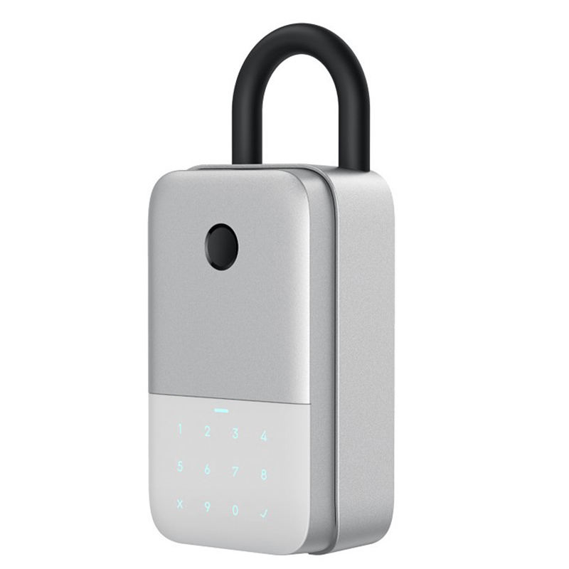 Combination Smart Lock Box